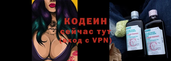 СК Сафоново