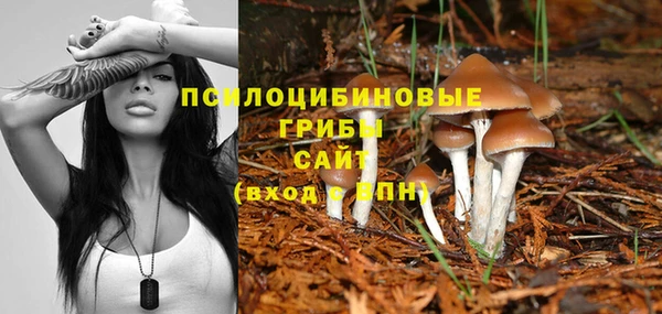 тгк Верхний Тагил