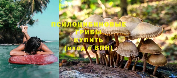 не бодяженный Саяногорск