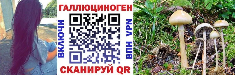 Псилоцибиновые грибы ЛСД Семёнов